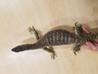 20170604_134011.jpg