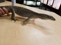 20170604_134024.jpg
