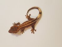 20170417_230523.jpg