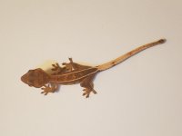 20170417_230619.jpg