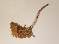 20170417_230403.jpg