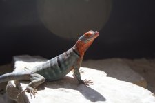 IMG_3882.jpg
