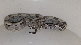 20170629_220446.jpg
