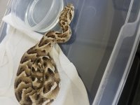 20170607_174511.jpg