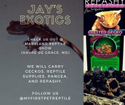 Copy of Jay's Exotics.jpg