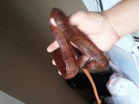 20160628_144619.jpg