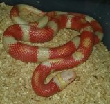 20170222_234210-1.jpg