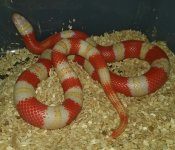 20170222_234404-1.jpg