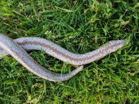 20170507_185138.jpg