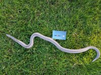 20170507_185208.jpg