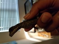 20170404_184900.jpg