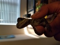 20170404_184916.jpg
