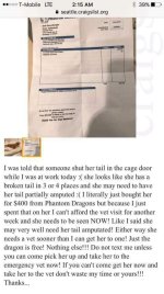 FB_IMG_1501554452692.jpg