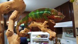 20160110_191649.jpg