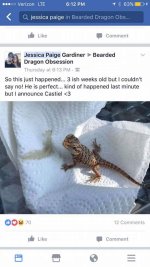 FB_IMG_1501554488348.jpg