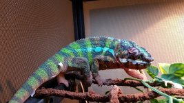 20160311_074127.jpg