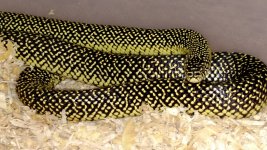 IMG_20160814_125443144.jpg