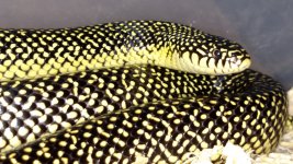IMG_20160814_125430356.jpg