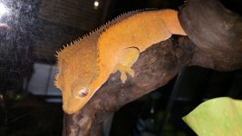 20170705_192420.jpg