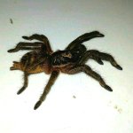 IMG_20170731_203113.jpg