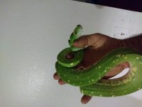 20170302_202821.jpg