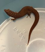 20170811_150048.jpg