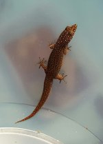 20170811_145952.jpg