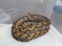 DSCN8804.jpg