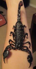 20160808153526.jpg