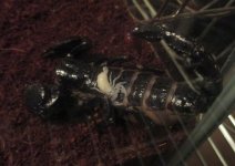 20160808153713.jpg