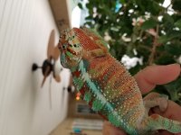 20170731_163251.jpg