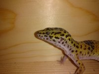 IMG_20170819_193947867.jpg