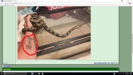 Screenshot (28)_LI.jpg