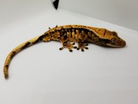 20170629_192308.jpg