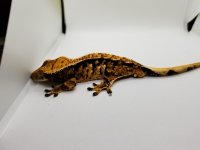 20170629_192236.jpg