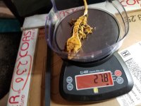 20170629_192328.jpg
