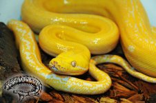 DSC_1833[1].jpg