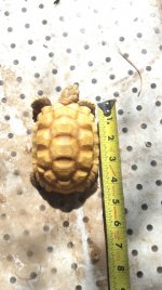 20170811_133220.jpg