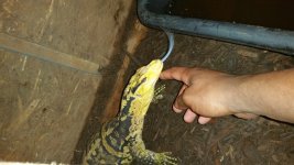 20170617_233816.jpg