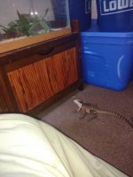 IMG_20170822_181233520.jpg