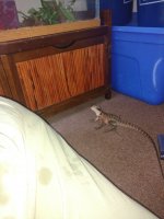 IMG_20170822_181224314.jpg