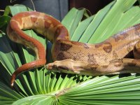 IMG_4582.jpg