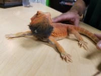 20170524_140012.jpg