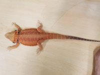 20170524_135953.jpg
