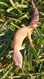 IMG_20170405_174931776.jpg