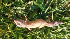 IMG_20170405_174835812.jpg