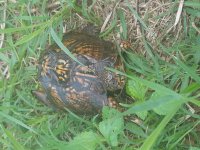 20170621_182459.jpg