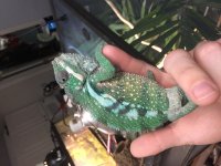 IMG_3631.jpg