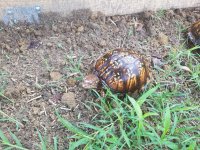 20170621_182528.jpg