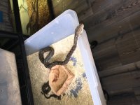 IMG_0323.jpg